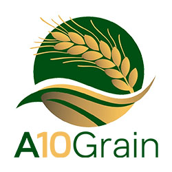 A10Grain Logo