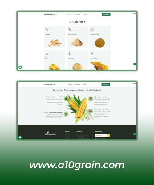 A10Grain Portfolyo Image